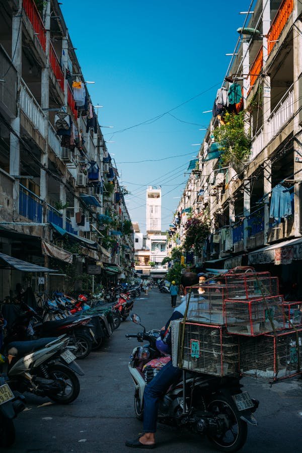 Logements sociaux : vos options avec lille métropole habitat